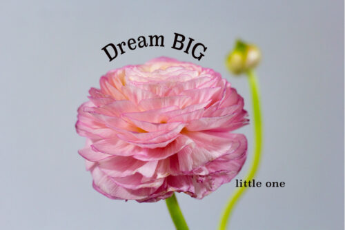 Canvas Dream Big little one