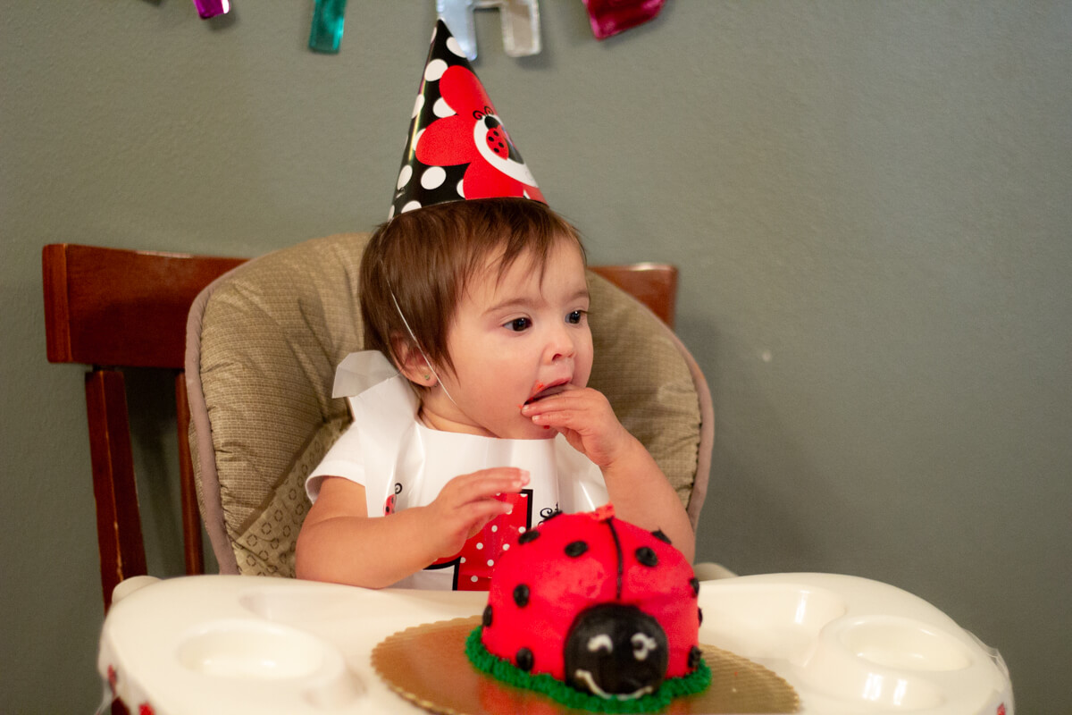 Ladybug Cake