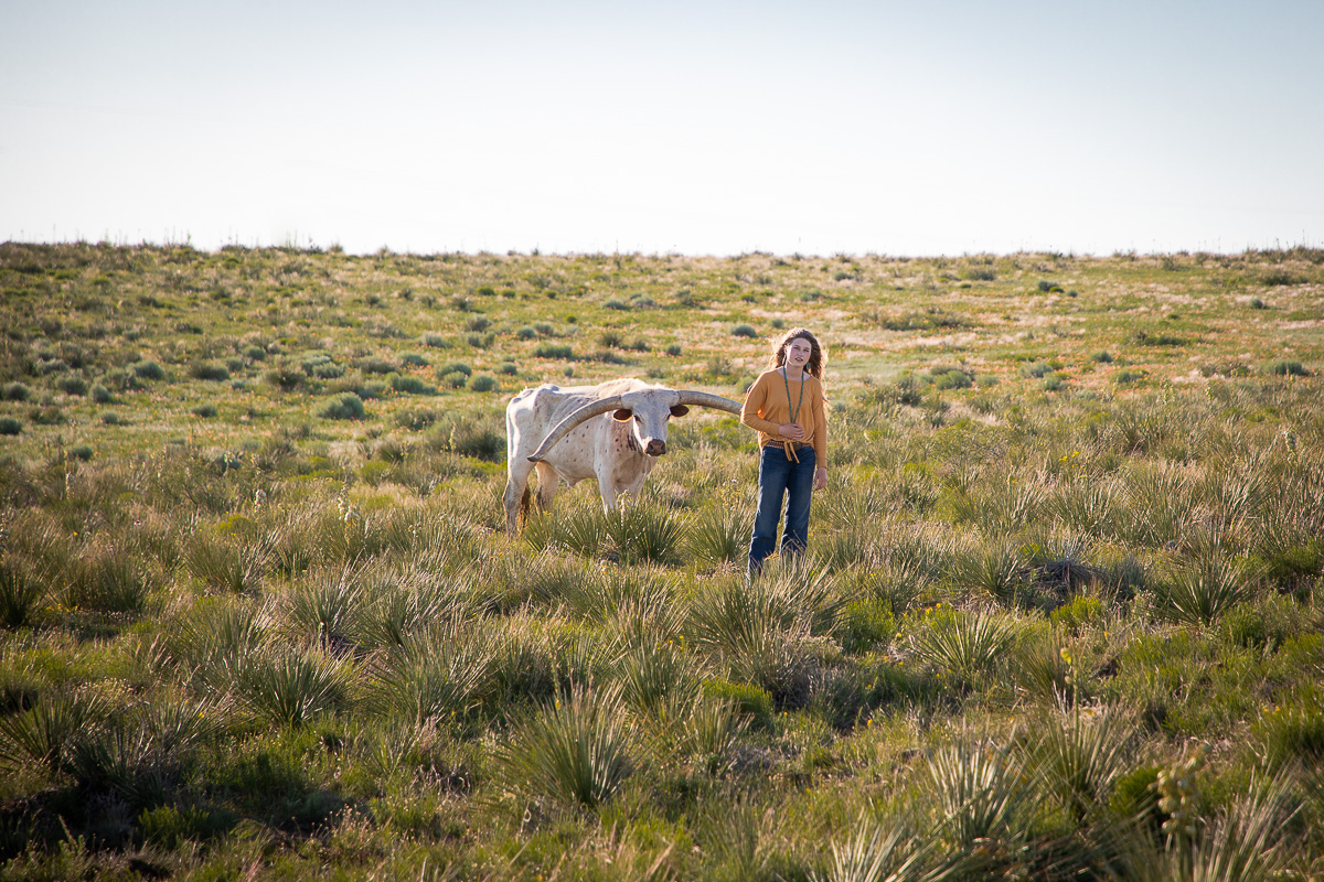 Texas Longhorn and Whitney