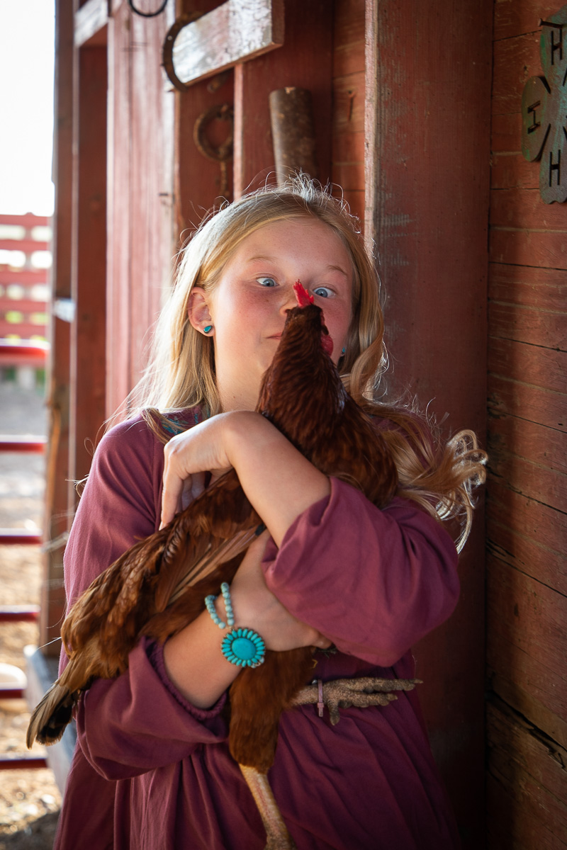 Paisley's Chickens