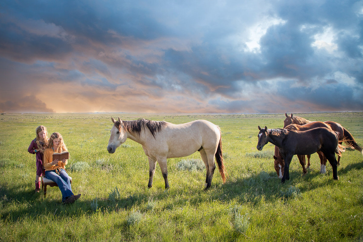 Horses