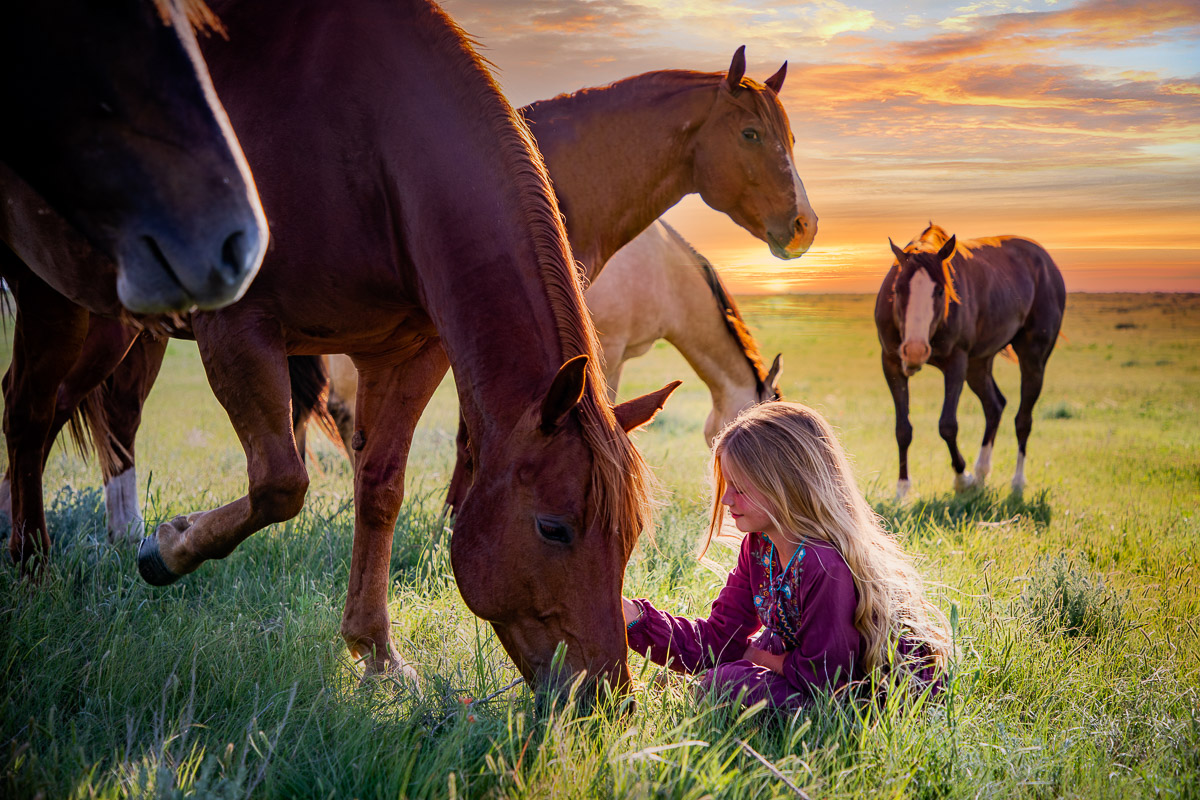 A girl and her horses