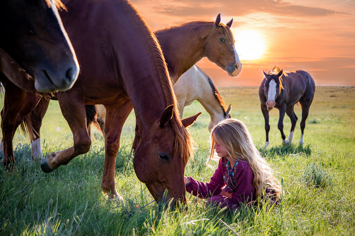 Girl and her horses